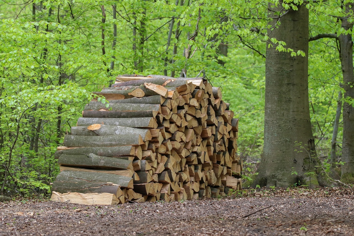 Livraison de bois de chauffage à Rodez